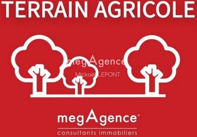 /international/fr/saint-ouen-des-toits-pays-de-la-loire-310105820868/