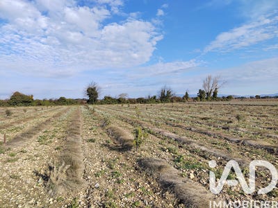 /international/fr/sainte-cecile-les-vignes-provence-alpes-cote-d-azur-310107369976/