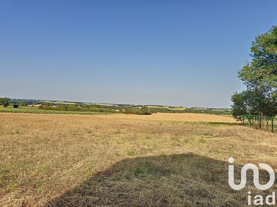 /international/fr/mauvezin-midi-pyrenees-310106418647/