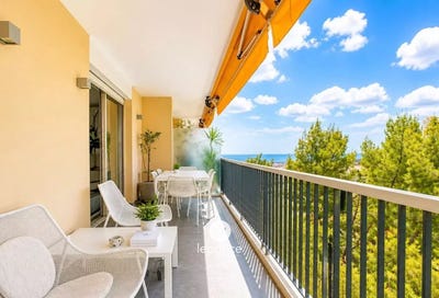 /international/fr/nice-provence-alpes-cote-d-azur-310109076410/