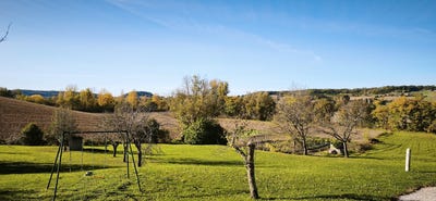/international/fr/saint-laurent-lolmie-midi-pyrenees-310109022784/