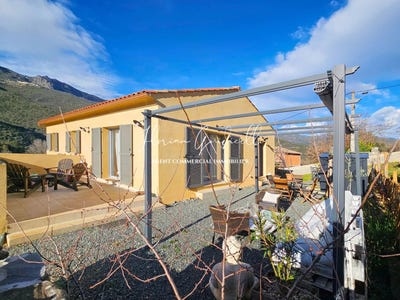 /international/fr/bisinchi-corsica-310098901793/