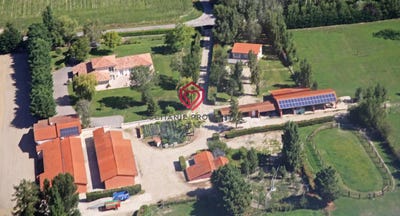 /international/fr/villeneuve-du-pareage-midi-pyrenees-310106921220/