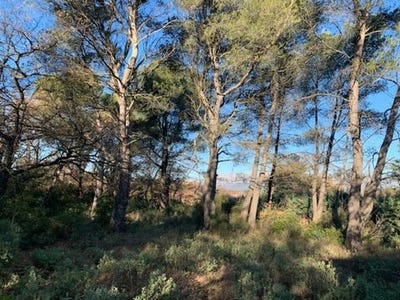/international/fr/trets-provence-alpes-cote-d-azur-120096586644/