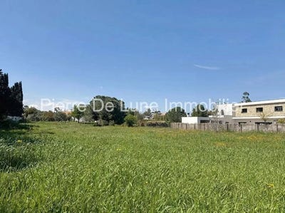 /international/fr/perpignan-languedoc-roussillon-310105999028/
