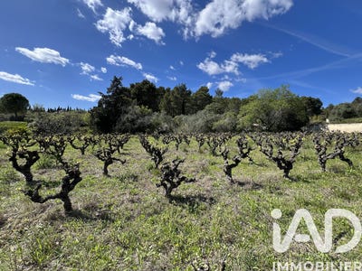 /international/fr/montouliers-languedoc-roussillon-310107673472/
