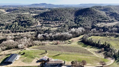 /international/fr/saint-alexandre-languedoc-roussillon-310105517815/