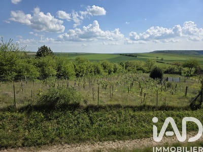 /international/fr/grenois-burgundy-310108209961/