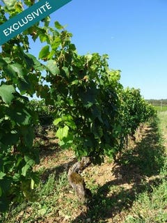 /international/fr/chagny-burgundy-310105061009/