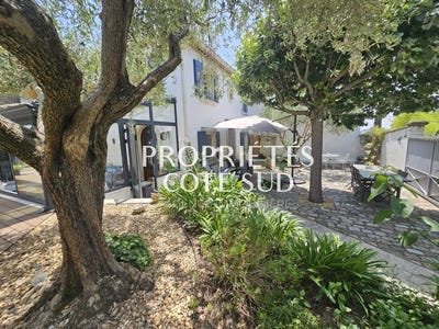 /international/fr/pujaut-languedoc-roussillon-310106999033/