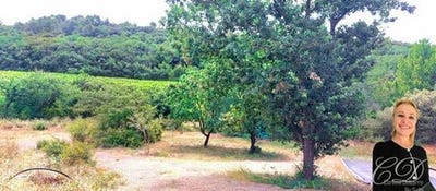 /international/fr/pezenas-languedoc-roussillon-310108842067/
