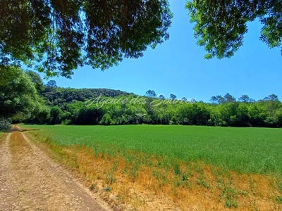 /international/fr/bras-centre-val-de-loire-310109078567/?lang=th