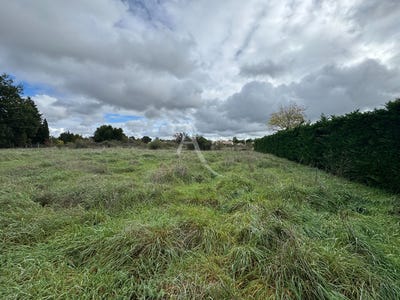 /international/fr/graulhet-midi-pyrenees-310104463813/