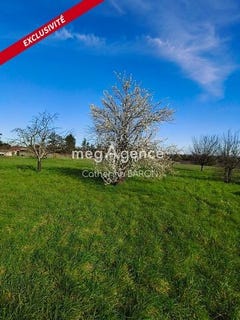 /international/fr/cognac-charente-310105946134/