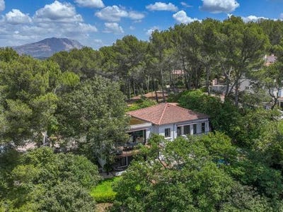 /international/fr/vence-provence-alpes-cote-d-azur-310101515555/?lang=pt