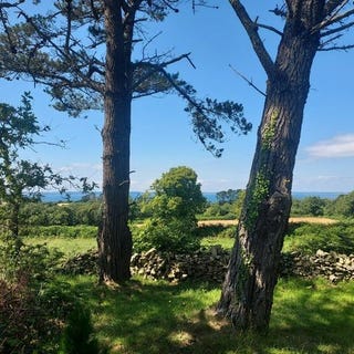 /international/fr/poullan-sur-mer-brittany-310100580334/