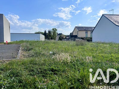 /international/fr/andouille-pays-de-la-loire-310107902880/