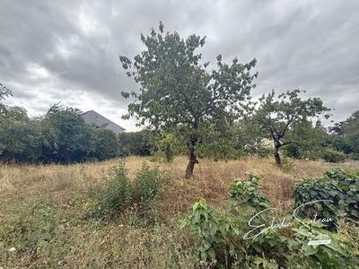 /international/fr/le-lion-d-angers-pays-de-la-loire-310100523156/