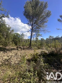 /international/fr/claviers-provence-alpes-cote-d-azur-310108154743/