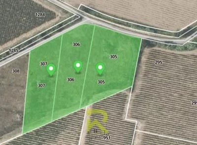 /international/fr/raissac-d-aude-languedoc-roussillon-310106715739/