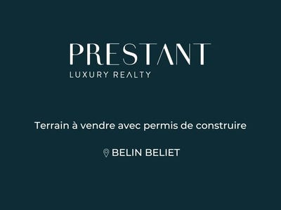 /international/fr/belin-beliet-aquitaine-120096035884/