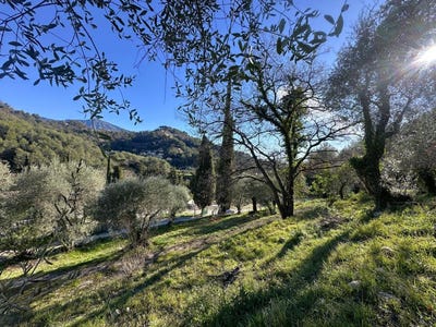 /international/fr/gorbio-provence-alpes-cote-d-azur-310107244900/