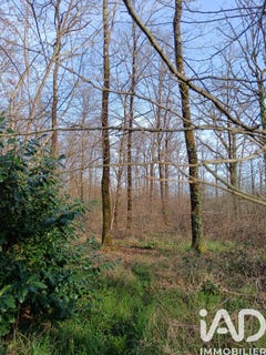/international/fr/sainte-gemme-centre-val-de-loire-310105235306/