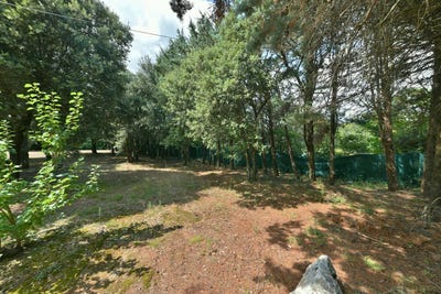 /international/fr/saint-siffret-languedoc-roussillon-310102517112/