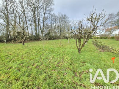 /international/fr/bellevigny-pays-de-la-loire-310105374158/