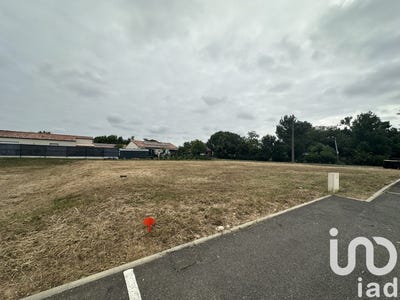 /international/fr/negrepelisse-midi-pyrenees-310101033740/