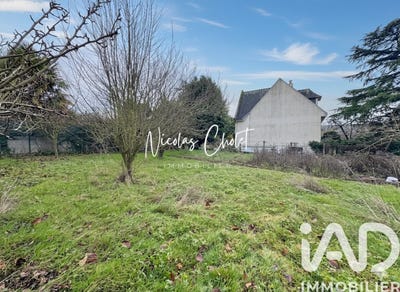 /international/fr/angers-pays-de-la-loire-310104400646/