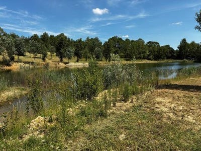 /international/fr/saint-papoul-languedoc-roussillon-310108869389/