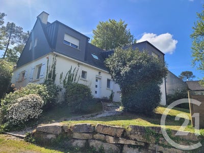 /international/fr/saint-ave-brittany-310105791746/