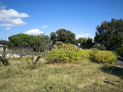 /international/fr/uzes-aquitaine-310104915502/