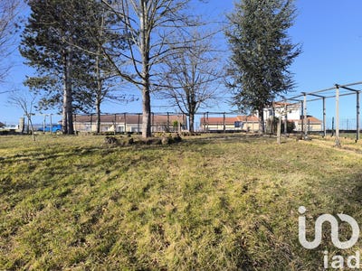 /international/fr/neuville-centre-val-de-loire-310096787131/