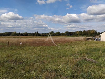 /international/fr/louresse-rochemenier-pays-de-la-loire-310104472368/