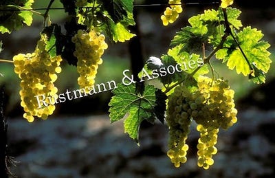 /international/fr/bordeaux-ile-de-france-310096300501/