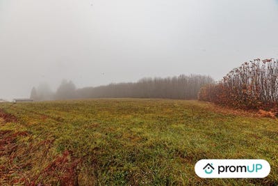 /international/fr/pageas-limousin-310103176528/