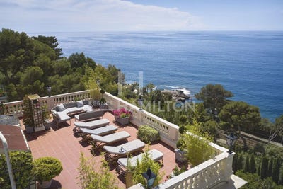 /international/fr/cap-d-ail-provence-alpes-cote-d-azur-310107902374/
