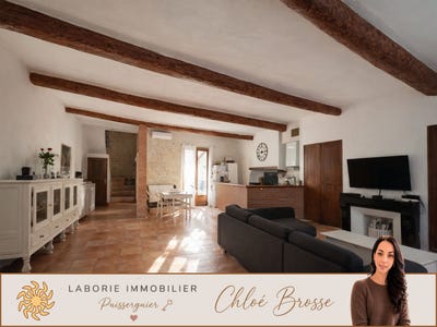 /international/fr/puisserguier-languedoc-roussillon-310108973584/