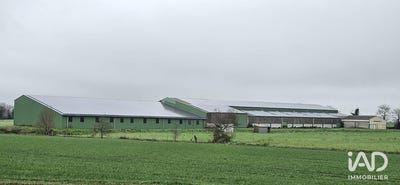 /international/fr/beaufou-pays-de-la-loire-310104165026/