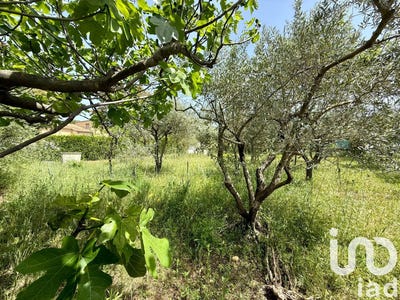 /international/fr/sorgues-provence-alpes-cote-d-azur-310100666730/