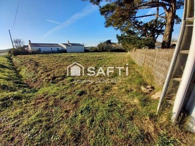 /international/fr/noirmoutier-en-l-ile-pays-de-la-loire-310110008543/