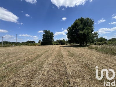 /international/fr/saint-martin-d-armagnac-midi-pyrenees-310101161194/