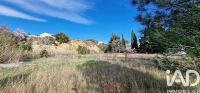 /international/fr/trouillas-languedoc-roussillon-310106166901/