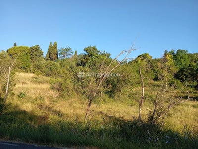 /international/fr/bargemon-provence-alpes-cote-d-azur-310101444603/?lang=id