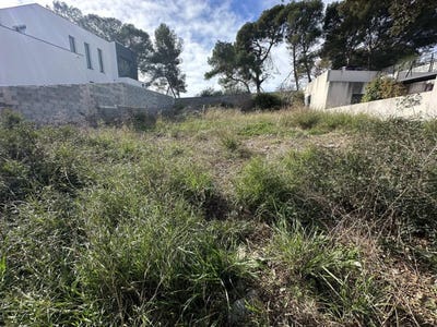 /international/fr/frontignan-languedoc-roussillon-310108261555/