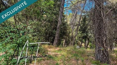 /international/fr/lorgues-provence-alpes-cote-d-azur-310099785072/