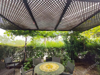 /international/fr/tournus-burgundy-310109201918/