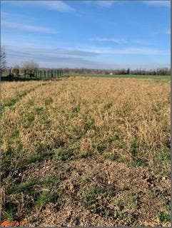 /international/fr/bregnier-cordon-rhone-310100113370/?lang=en